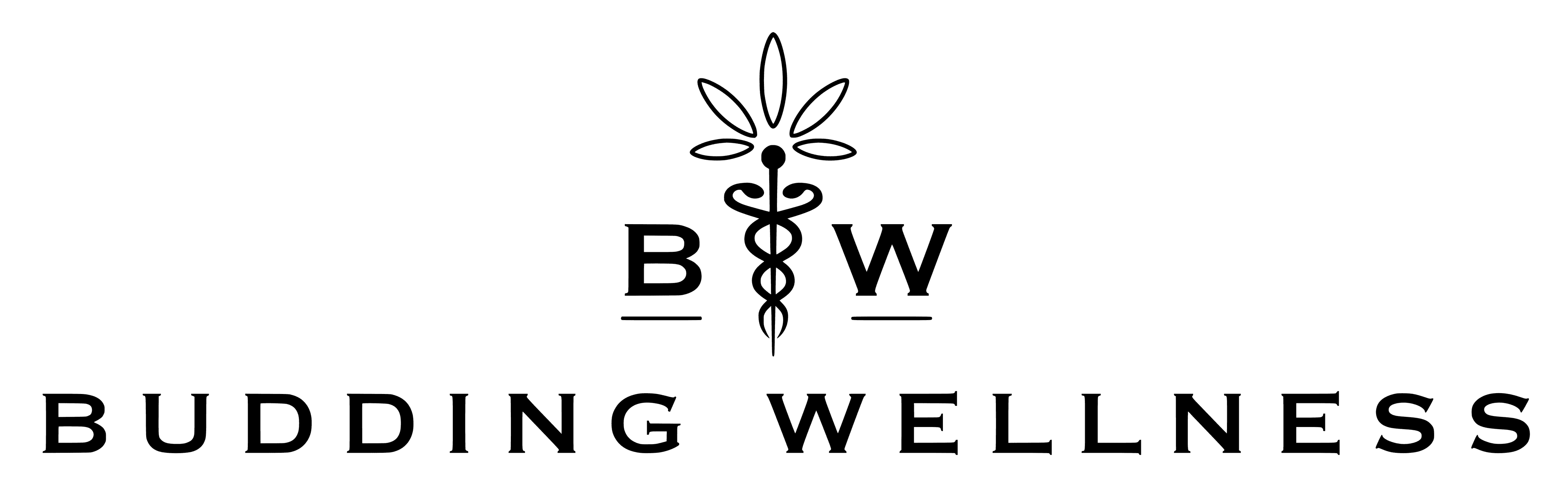 Budding Wellness logo